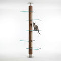 Aura Paws | Nordic Infinity GlassPlatform FloortoCeiling Cat Climber