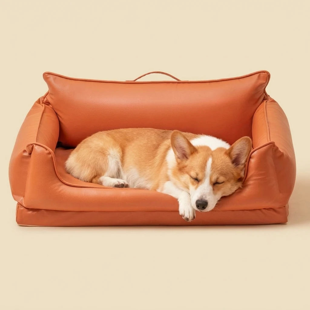 Aura Paws | Nordic Urban Shield ScratchResistant Sofa
