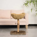 Aura Paws | Nordic Scandinavian Minimalist Sofa Bed