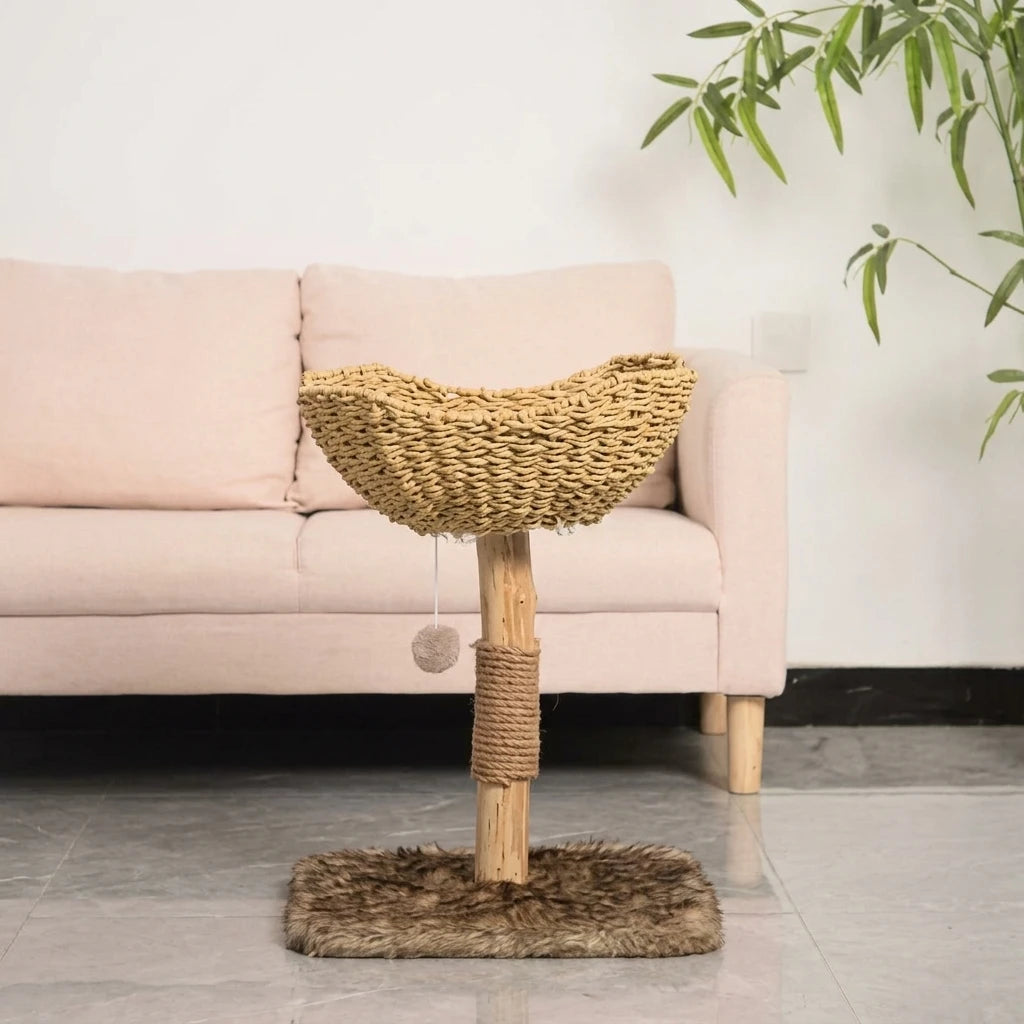Aura Paws | Nordic Scandinavian Minimalist Sofa Bed